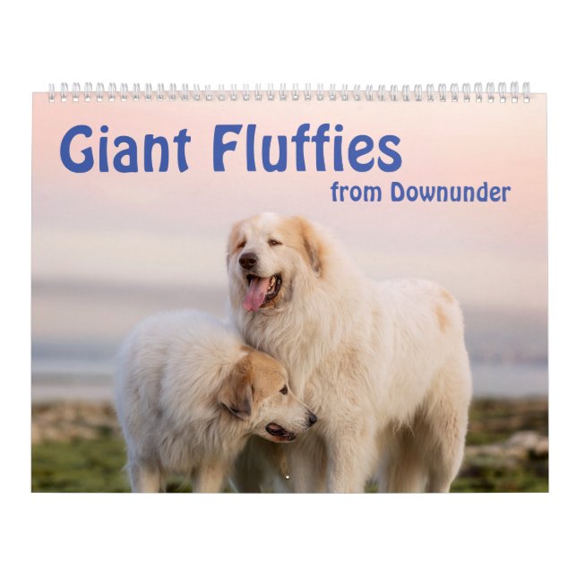 Calendrier Fluffies géantes (Protection)