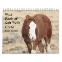 Foals sauvages de Salt Wells Creek