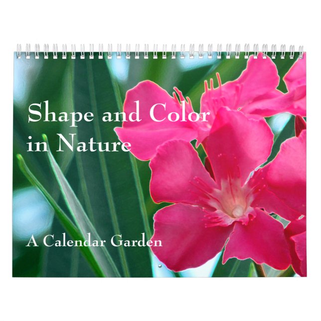 Calendrier Forme et couleur dans la nature (Protection)