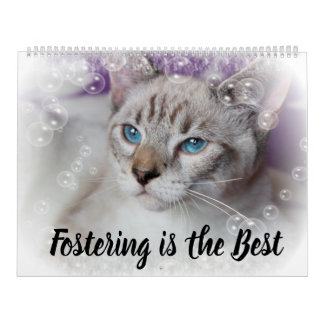 CALENDRIER FOSTERING KITTENS IS THE BEST