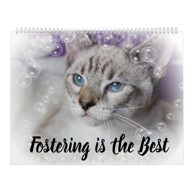 CALENDRIER FOSTERING KITTENS IS THE BEST (Protection)