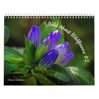 Calendrier Foule à propos des Fleurs sauvages #2
