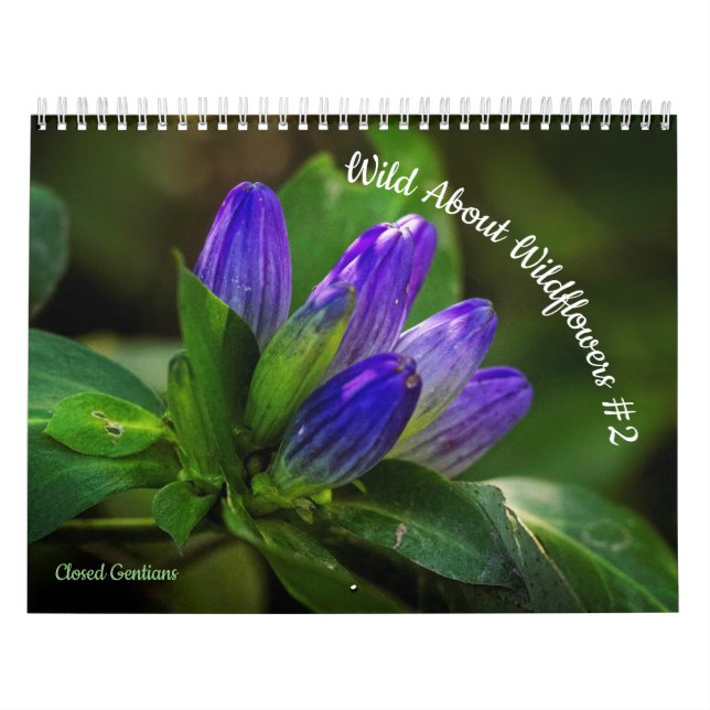 Calendrier Foule à propos des Fleurs sauvages #2 (Protection)
