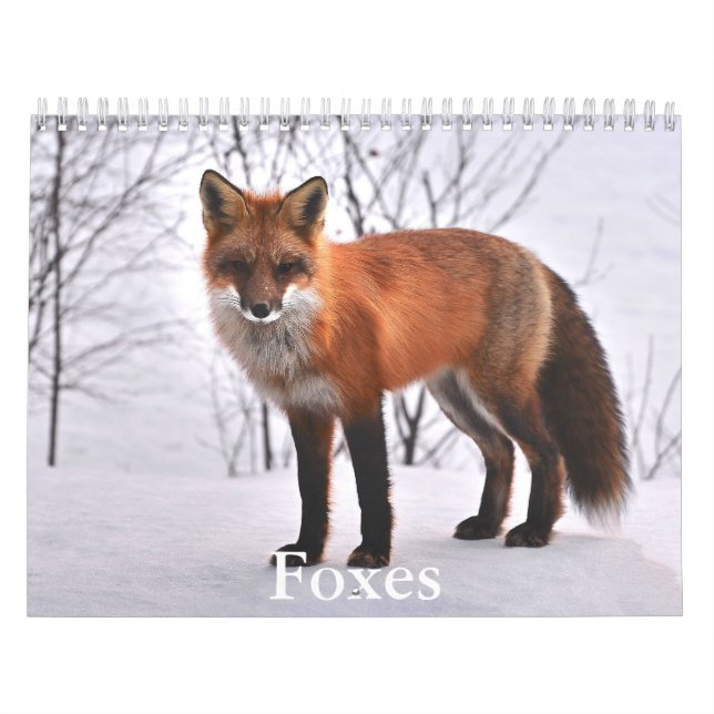 Calendrier Fox (Protection)
