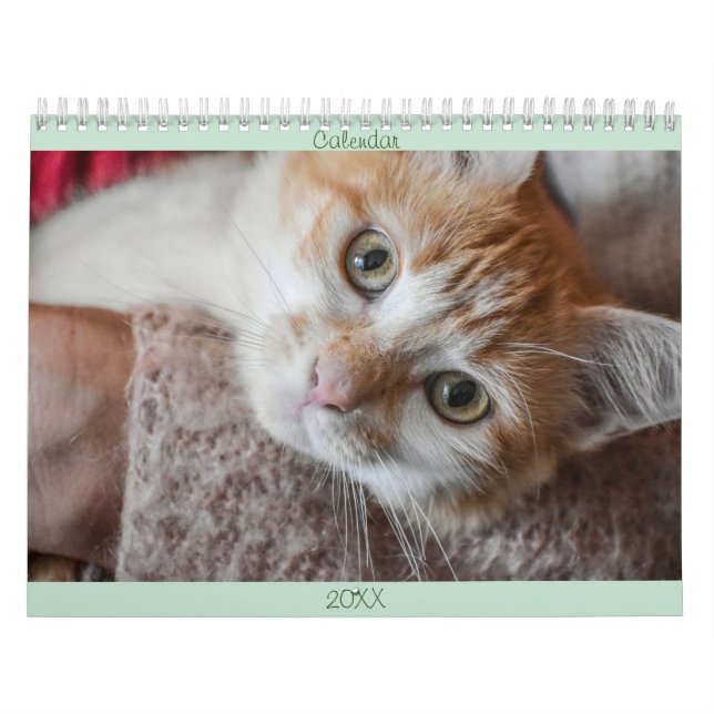 Calendrier Français et USA Cute Beautiful Cats (Protection)