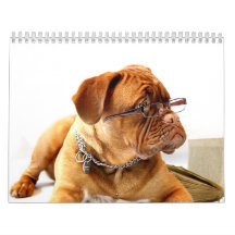 Français Mastiff Dogue de Bordeaux Calendar