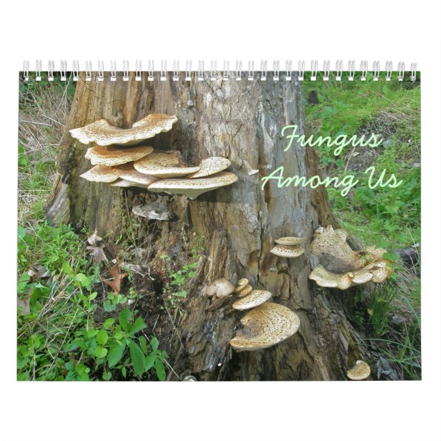 Calendrier - Fungus parmi nous (Protection)