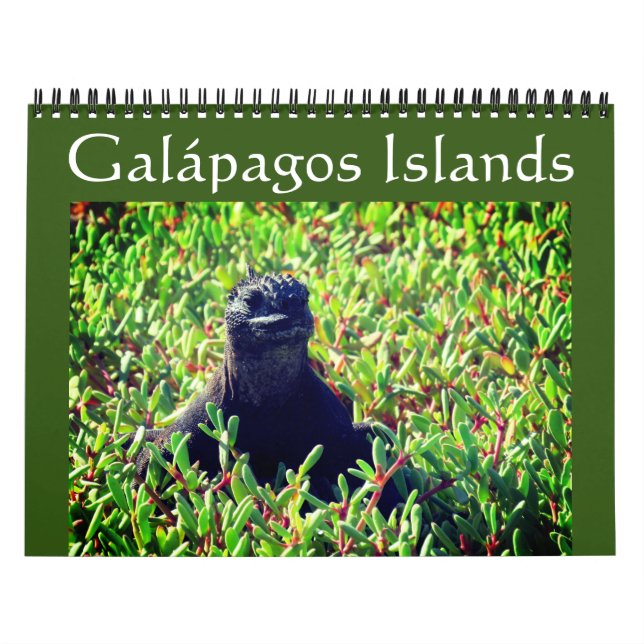 Calendrier galapagos animaux 2025 (Protection)
