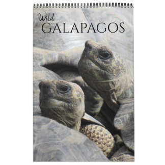 Calendrier galapagos sauvages 2025