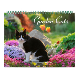 Calendrier Garden Cats - grande taille