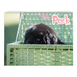 Calendrier GCH Notta Bears piqué mon intérêt