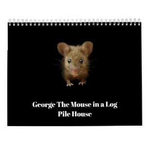 Calendrier George la souris avec des framboles
