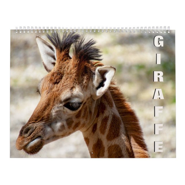 Calendrier Giraffe (Protection)