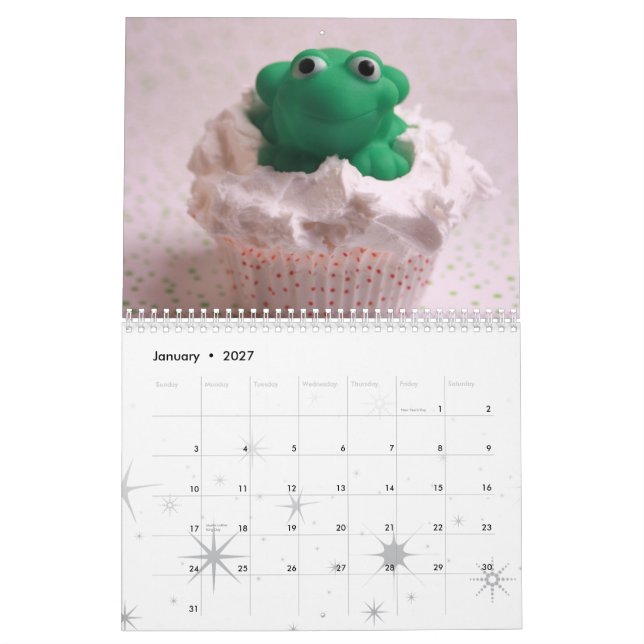 Calendrier givré des faux 2009 (Jan 2027)