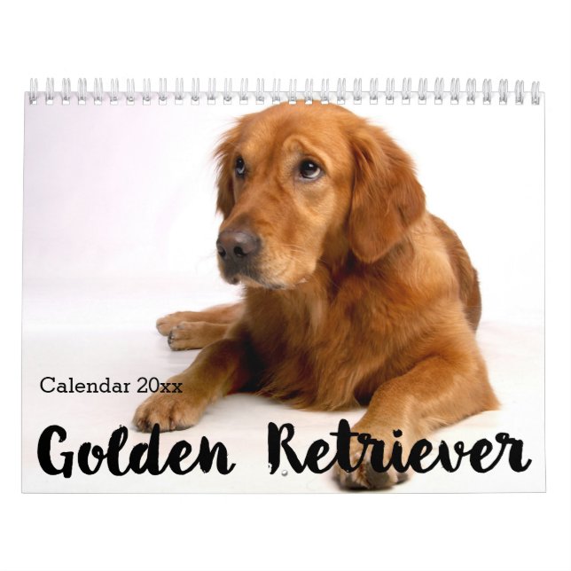 Calendrier Golden Retriever 2026 (Protection)