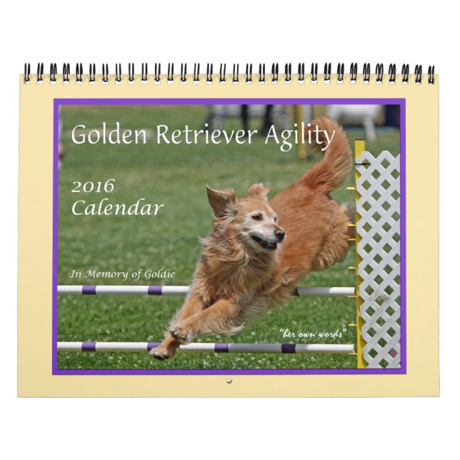 Calendrier Golden Retriever Agilité (Protection)