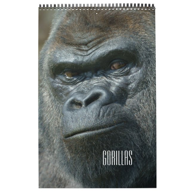 Calendrier Gorilla 2026 (Protection)