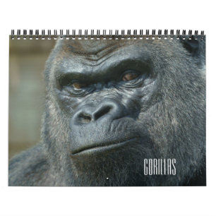 Calendrier Gorilla 2026