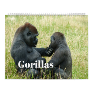Calendrier Gorilla 2026