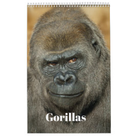 Calendrier Gorilla 2026