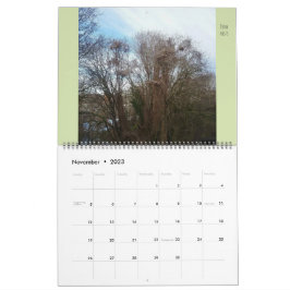Calendrier Grand quartier de la flore et de la faune "Downyla