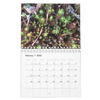 Calendrier Graphic photo calendar