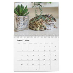 Calendrier Grenouille Pacman Blobbi