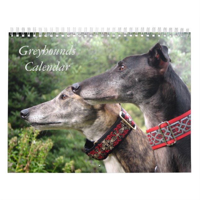 Calendrier Greyhound (Protection)