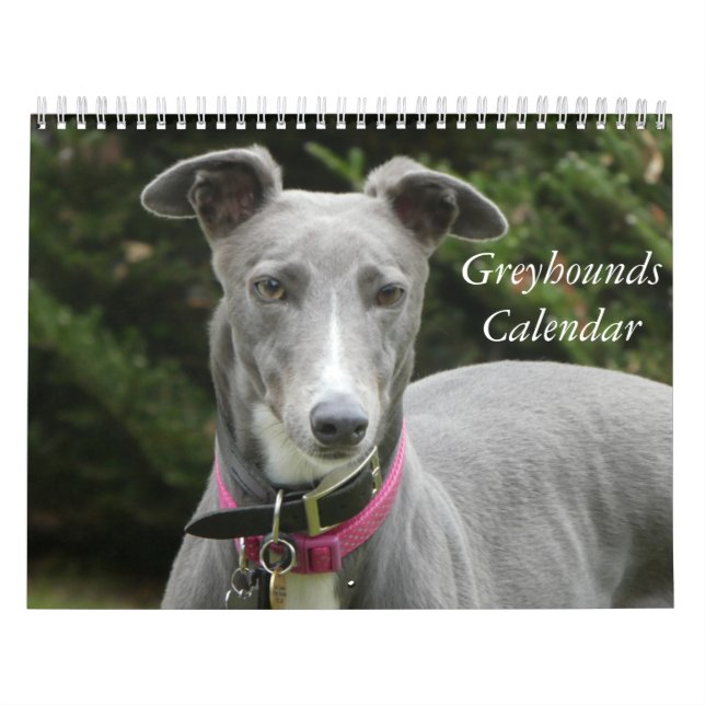 Calendrier Greyhound (Protection)