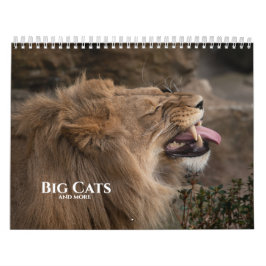 Calendrier Gros Chats 2026 Et Plus