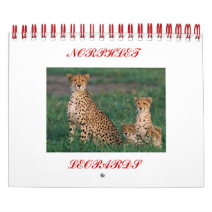 Calendrier guépards, NORPHLET, LEOPARDS