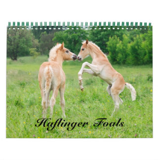 Calendrier Haflinger Foies - taille moyenne