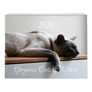 Calendrier HAMbyWG - 2020 Gorgeous Cats