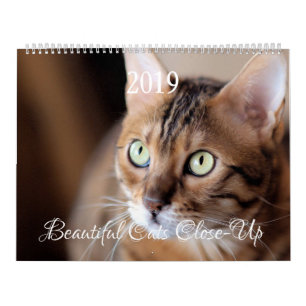 Calendrier HAMbyWG - Chats magnifiques