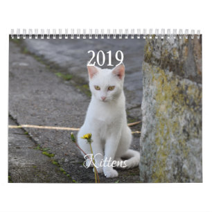 Calendrier HAMbyWG Kitten