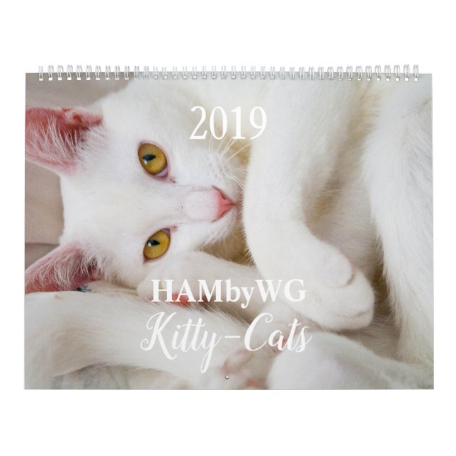 Calendrier HAMbyWG Kitty-Cats (Protection)