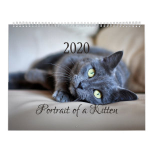 Calendrier HAMbyWG- Portrait d'un chaton