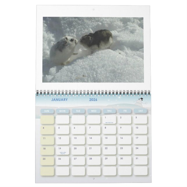 Calendrier hamster1, HAMSTERS, 2008 calender (Jan 2026)