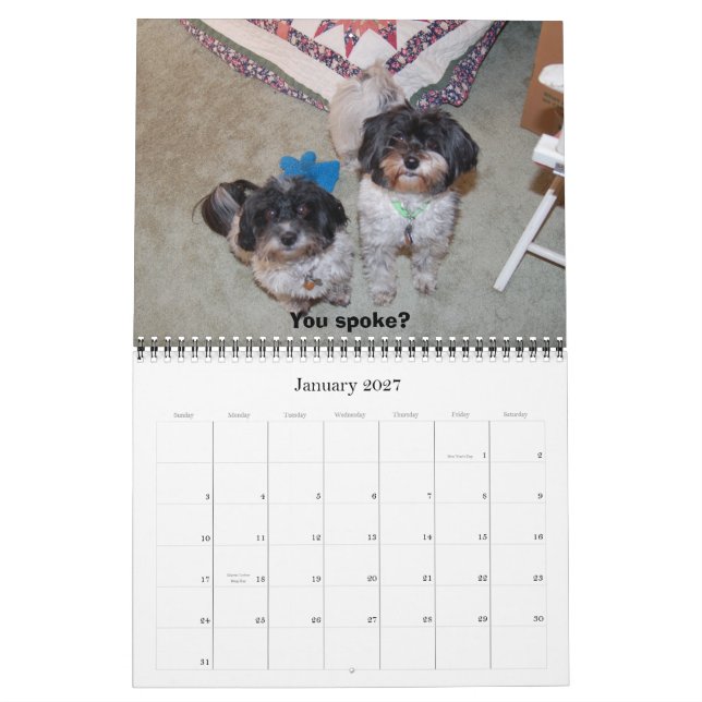 Calendrier Havanese 2009 (Jan 2027)