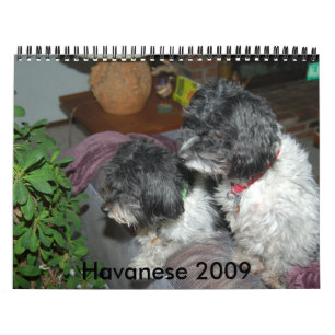 Calendrier Havanese 2009