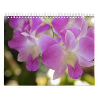 Calendrier hawaïen de fleur et d'orchidée