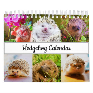 Calendrier Hérisson