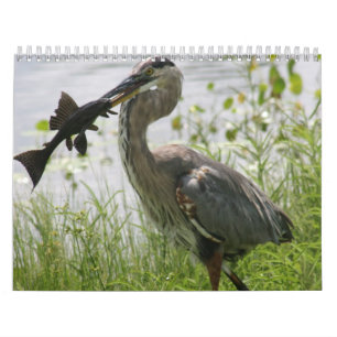 CALENDRIER HÉRON DE GRAND BLEU