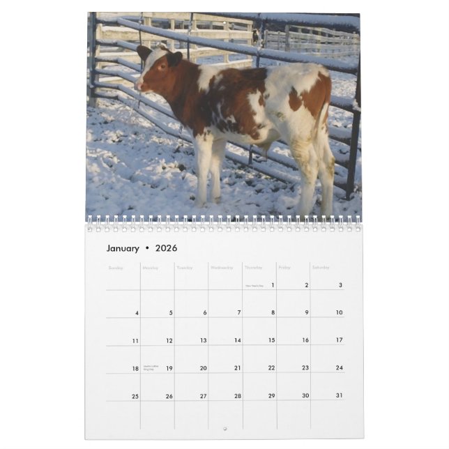 Calendrier heureux de vache au ~ 2013 de vaches (Jan 2026)