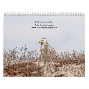 Calendrier Hiboux 2026