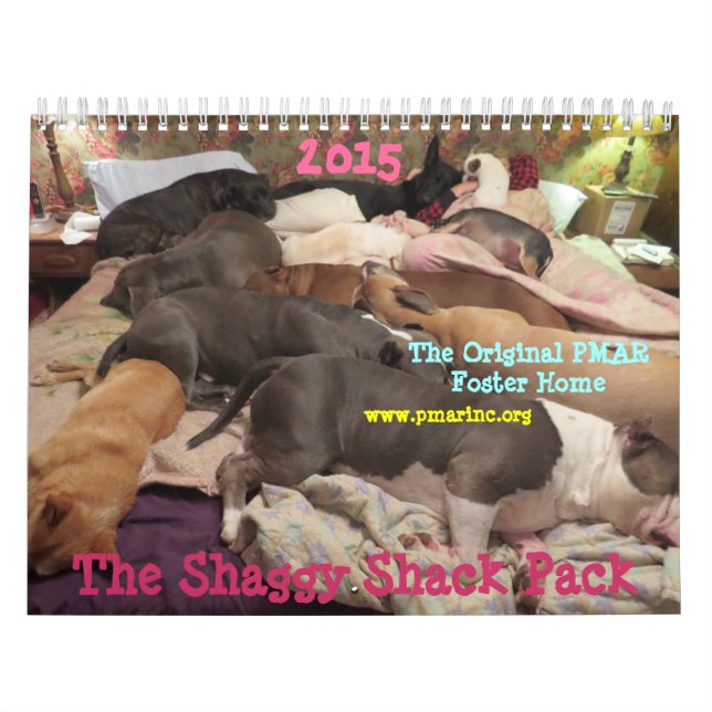 Calendrier hirsute de Shack 2015 (Protection)