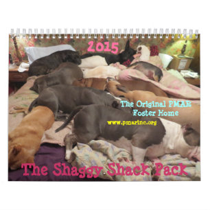 Calendrier hirsute de Shack 2015