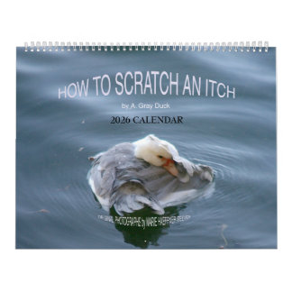 Calendrier HOW TO SCRATCH AN ITCH by A. Gray Duck 2026