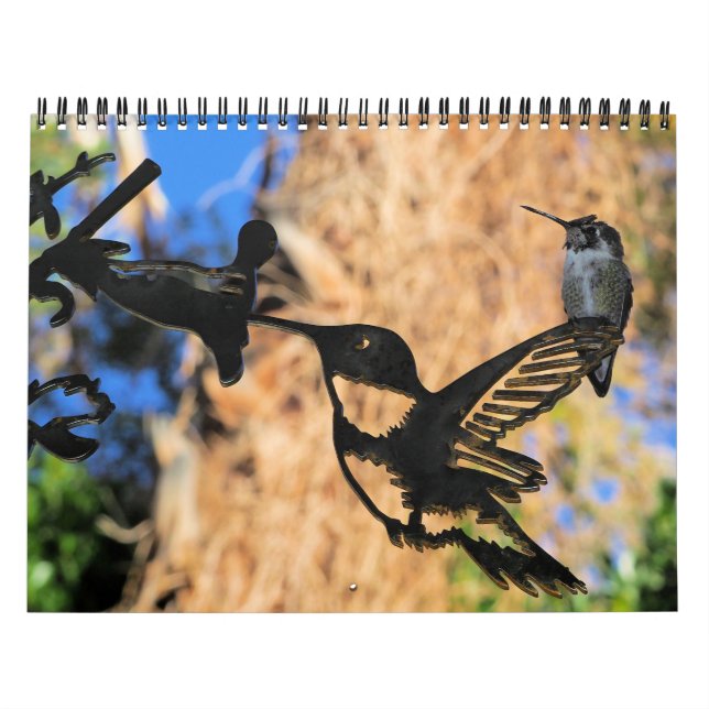Calendrier HUMMINGBIRD 2022 (Protection)