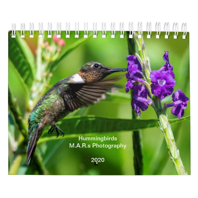 Calendrier Hummingbirds 2020 (Protection)